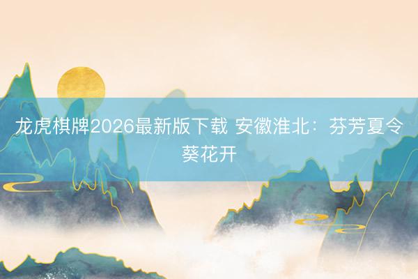 龙虎棋牌2026最新版下载 安徽淮北:芬芳夏令葵花开