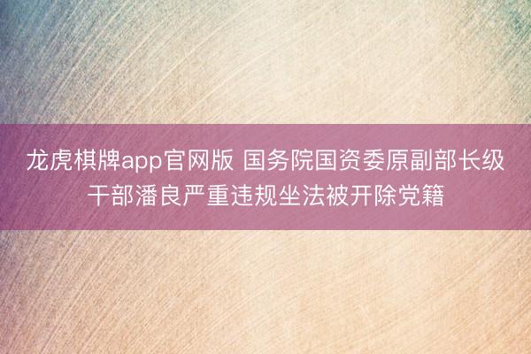 龙虎棋牌app官网版 国务院国资委原副部长级干部潘良严重违规坐法被开除党籍