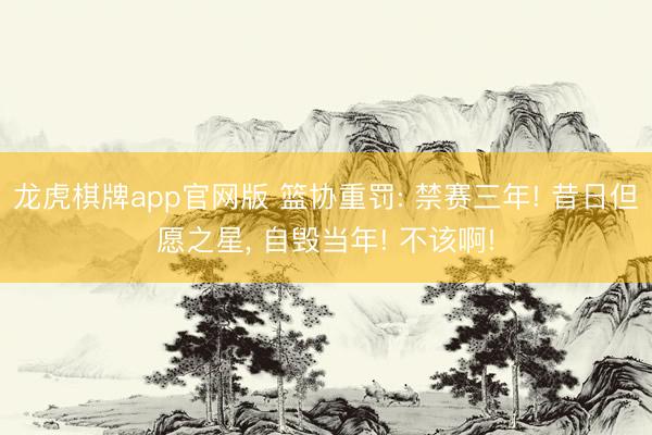 龙虎棋牌app官网版 篮协重罚: 禁赛三年! 昔日但愿之星， 自毁当年! 不该啊!