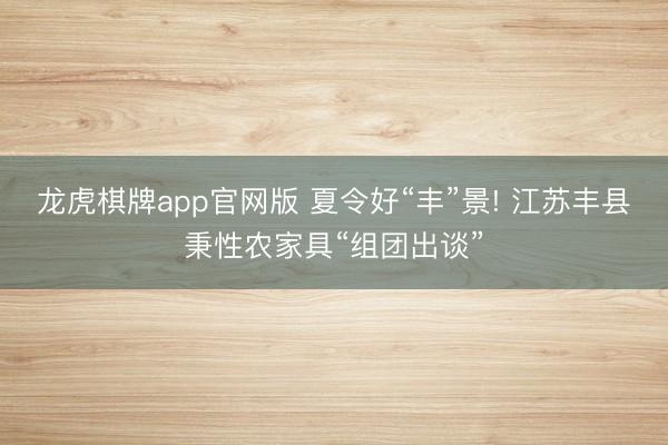 龙虎棋牌app官网版 夏令好“丰”景! 江苏丰县秉性农家具“组团出谈”